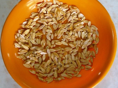 Muskmelon