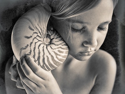 Nautilus