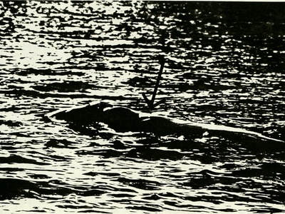 North Atlantic Right Whale