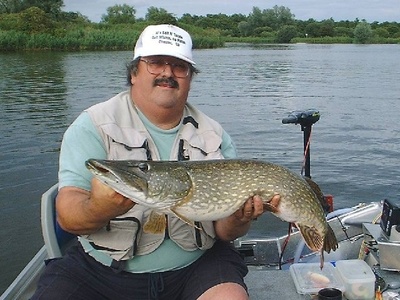 Northern Pike