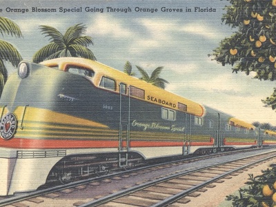 Orange Blossom