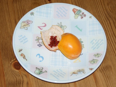 Passion Fruit