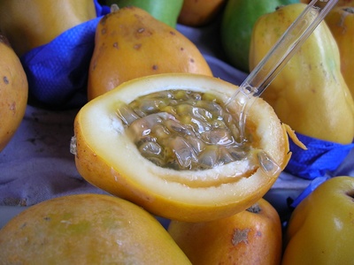 Passion Fruit (Maracujá)
