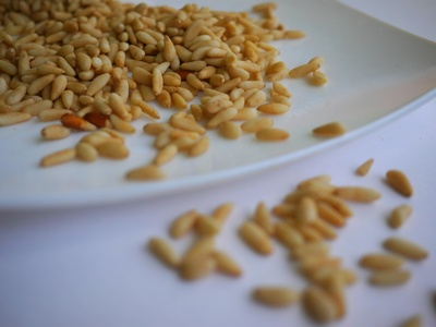 Pine Nut