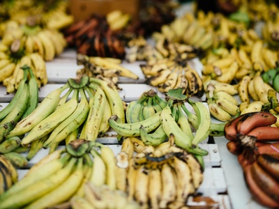 Plantain