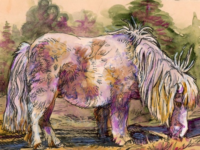 Pony