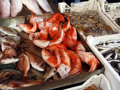 Porgy (red porgy)