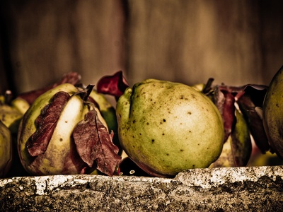 Quince (Dunja)