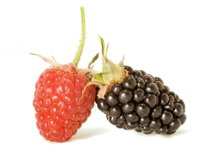 Raspberry (frambuesa)