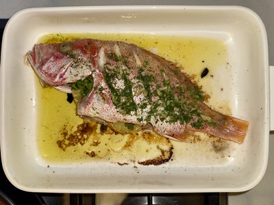 Red snapper