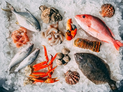Red snapper