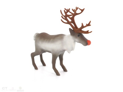 Reindeer