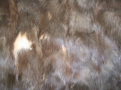 Sable