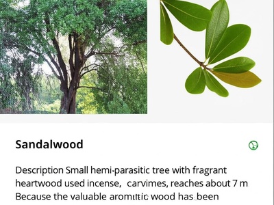 Sandalwood