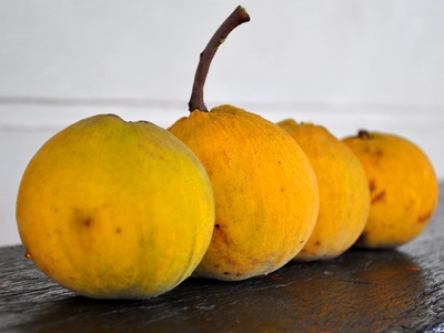 Santol