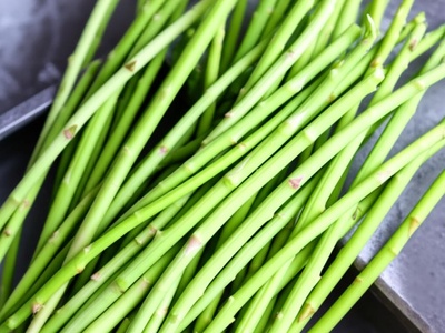 Senegal Asparagus
