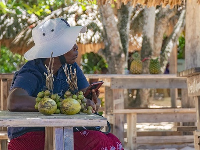 Spanish lime (Mamoncillo/Guinep)