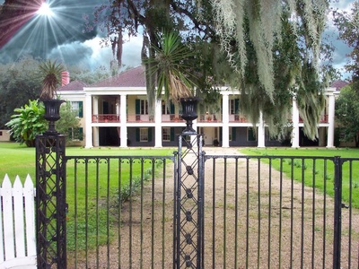Spanish moss