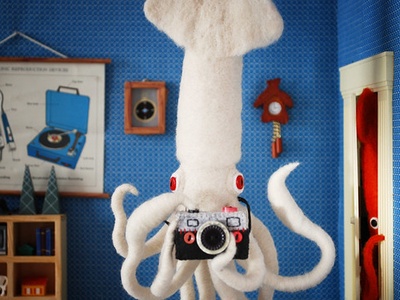 Squid