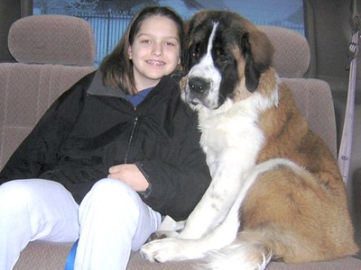 St. Bernard