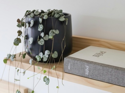 String of Hearts