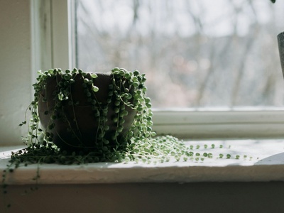 String of Pearls