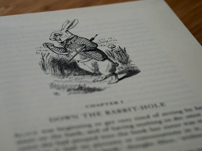 Swamp Rabbit