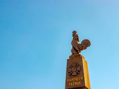 Tambaqui