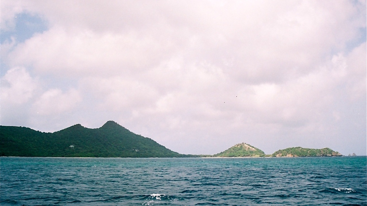 Lush hillside forest on Saint Kitts with native vegetation