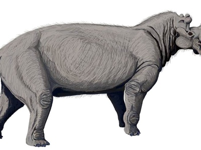 Uintatherium