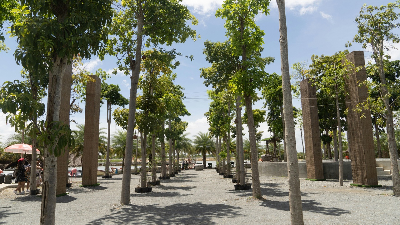 Timber examples: ash tool handles and elm furniture grain