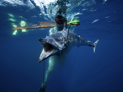 Wahoo
