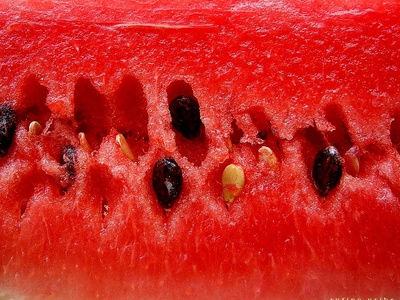 Watermelon (Melancia)
