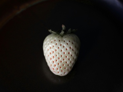 White strawberry (fragaria chiloensis var.)