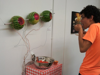 Wild Melon