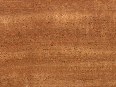 African mahogany