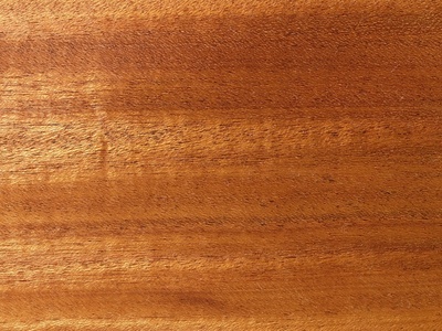 African mahogany