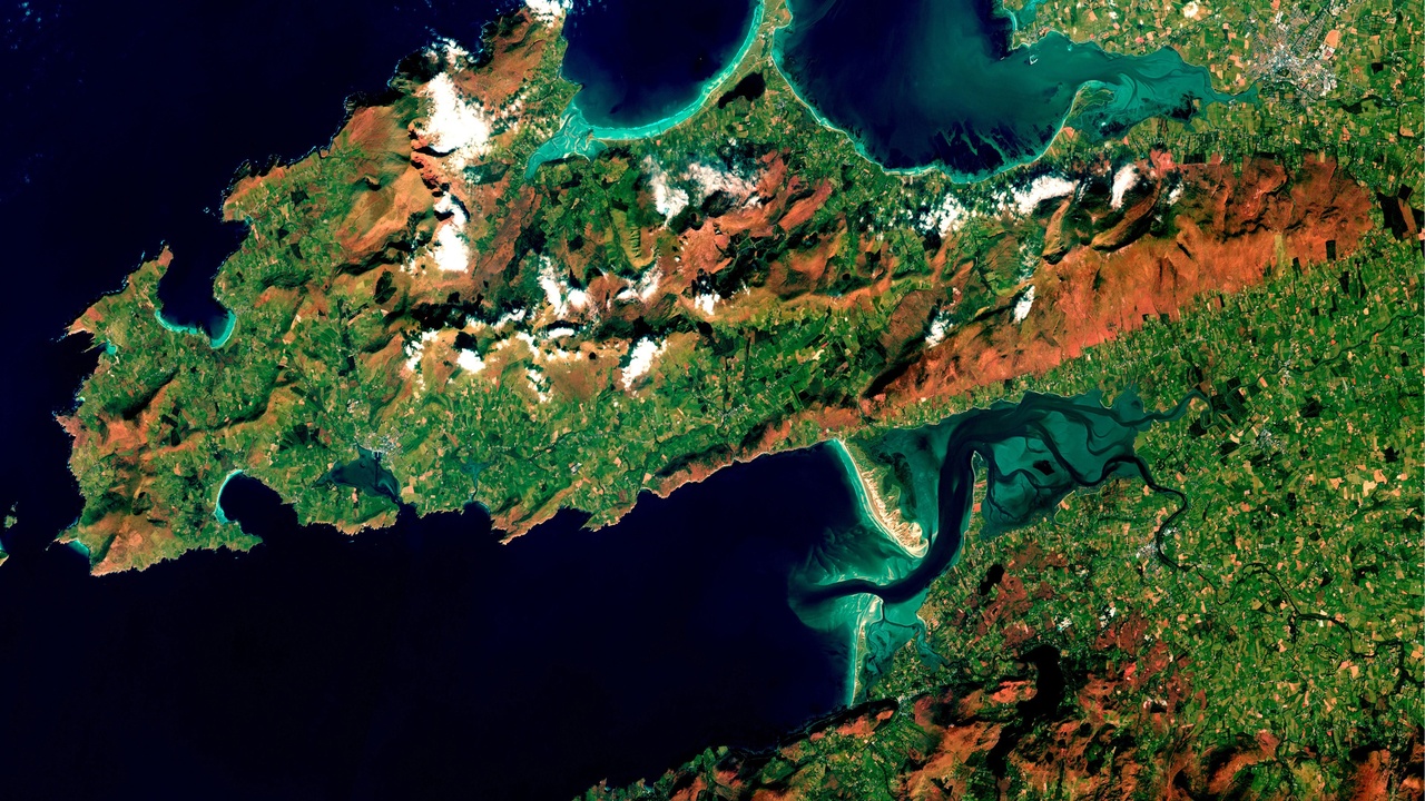 Restoration team planting along a recovering landscape, illustrating successional stages and applied ecology