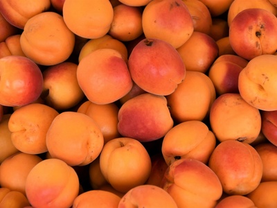 Apricot