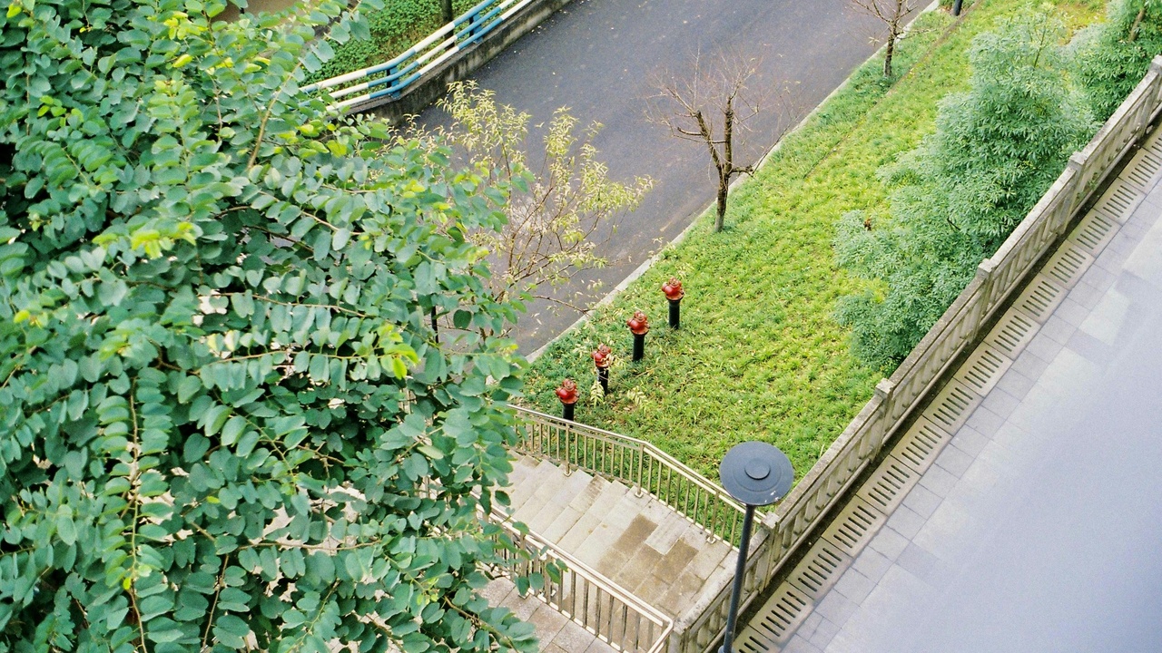 Copper tape around pots to deter slugs
