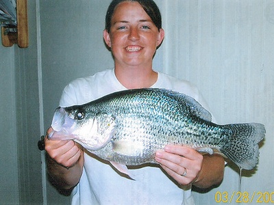 Black Crappie