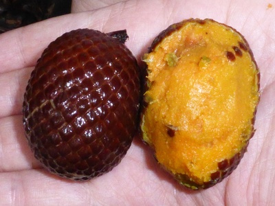 Buriti