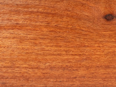 Burma Padauk