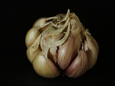 Bush Onion