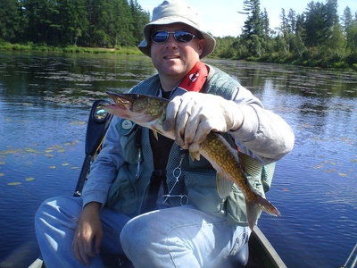 Chain Pickerel