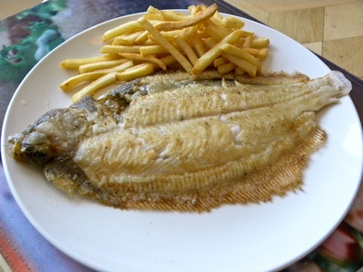 Common sole