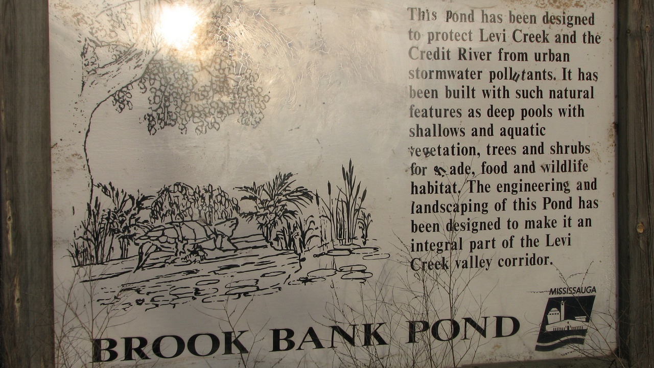 Restored corridor between forest patches showing wildlife movement