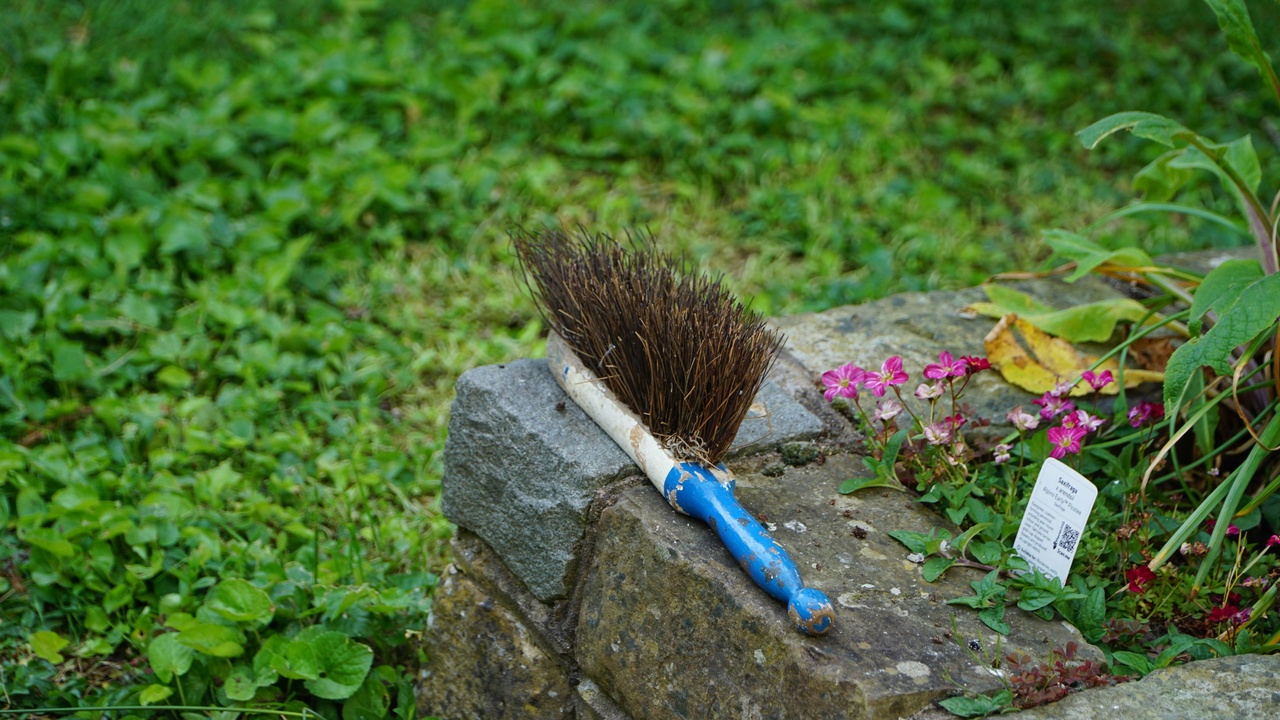 Garden cleanup to reduce slug habitat
