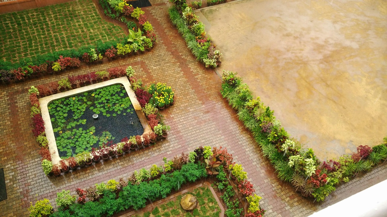 Overhead view of an accessible sensory garden with winding paths and planted sensory zones