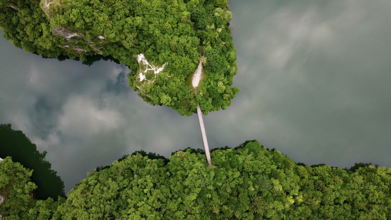 Aerial view of mangrove coastline and nearby research station, linking coastal plants to shoreline protection and biodiversity research.